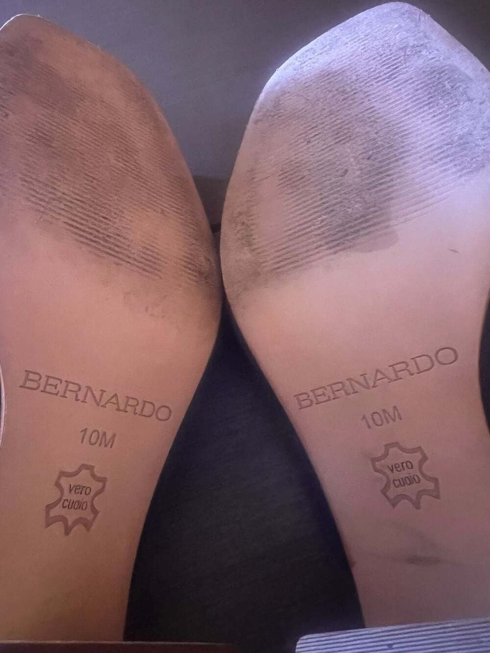 Bernardo - Picture 6 of 6